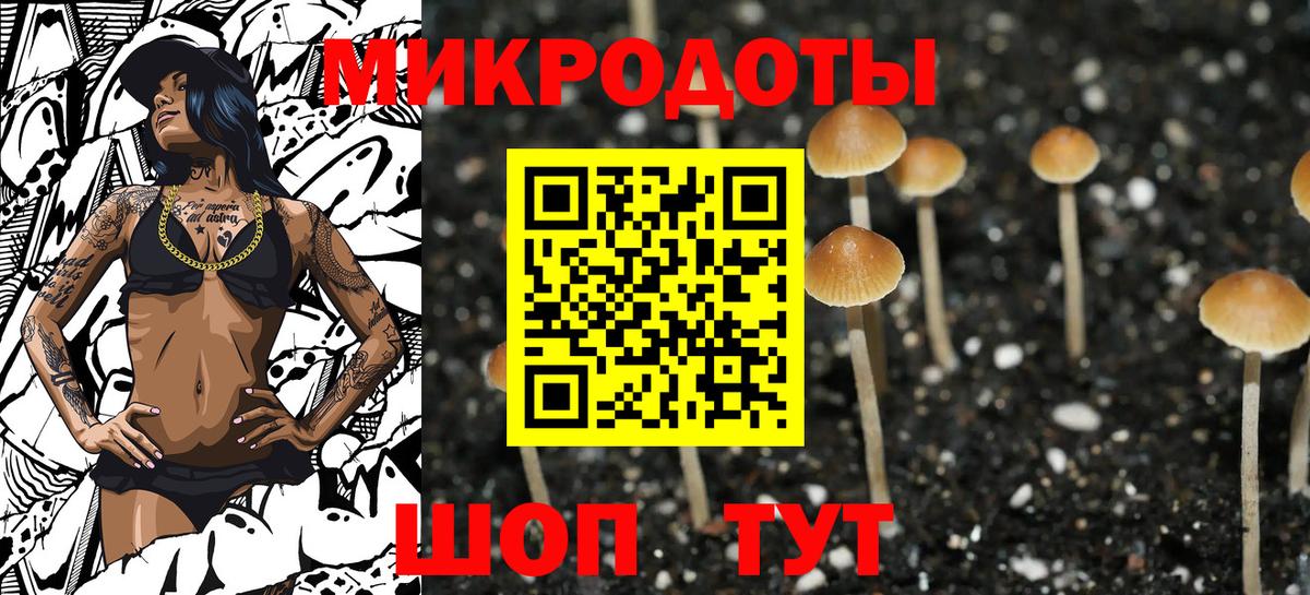 Псилоцибиновые грибы Psilocybine cubensis Хасавюрт