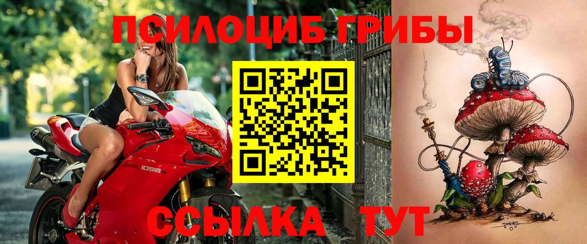 Псилоцибиновые грибы Magic Shrooms  Вход с VPN  Галлюциногенные грибы MAGIC MUSHROOMS  Хасавюрт 